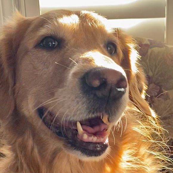 Meet your Posher, Eugenia - Picture 1 of 1